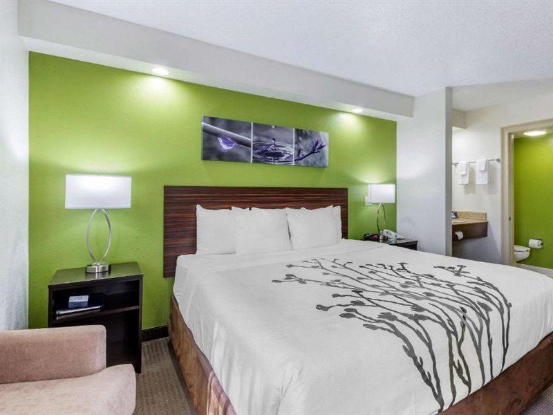 Sleep Near Busch Gardens - Usf Inn