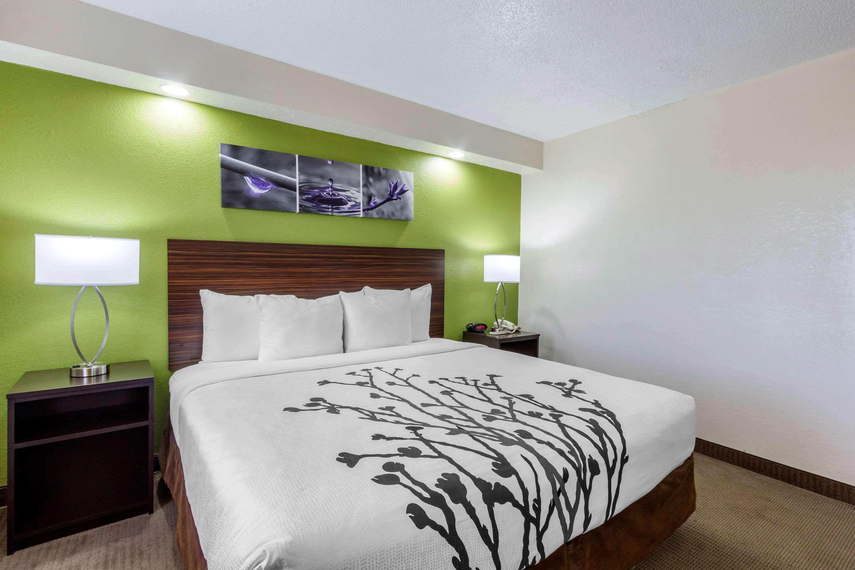 Sleep Near Busch Gardens - Usf Temple Terrace