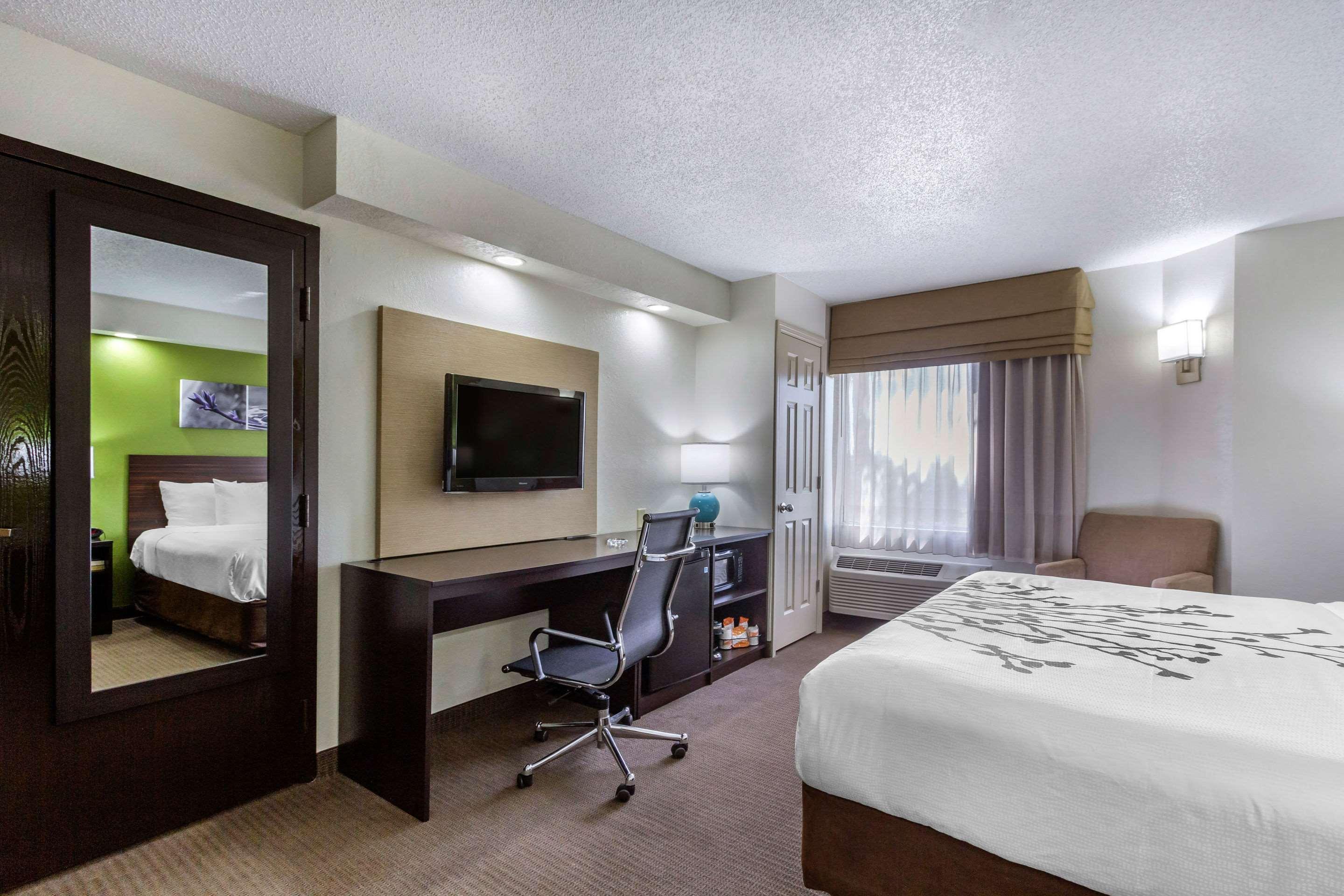 Sleep Near Busch Gardens - Usf