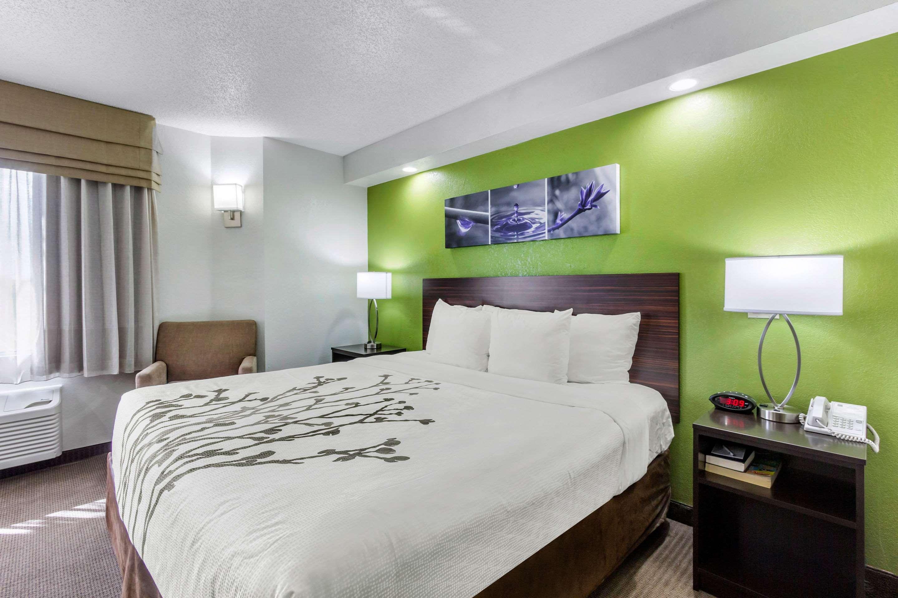Sleep Near Busch Gardens - Usf Inn Temple Terrace