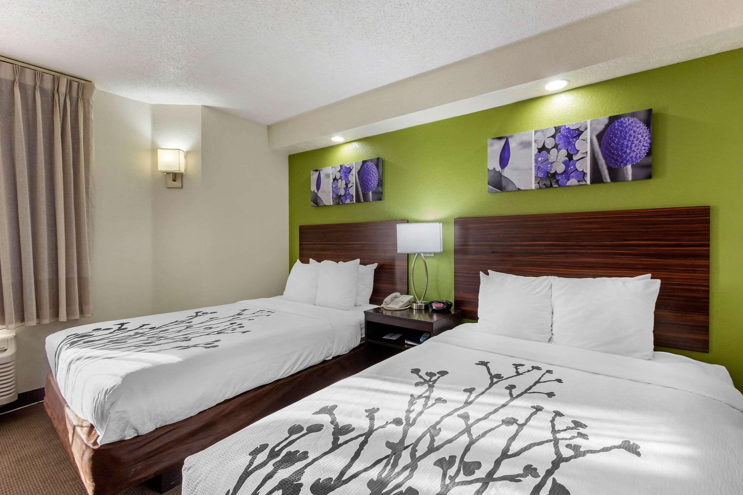 Sleep Near Busch Gardens - Usf