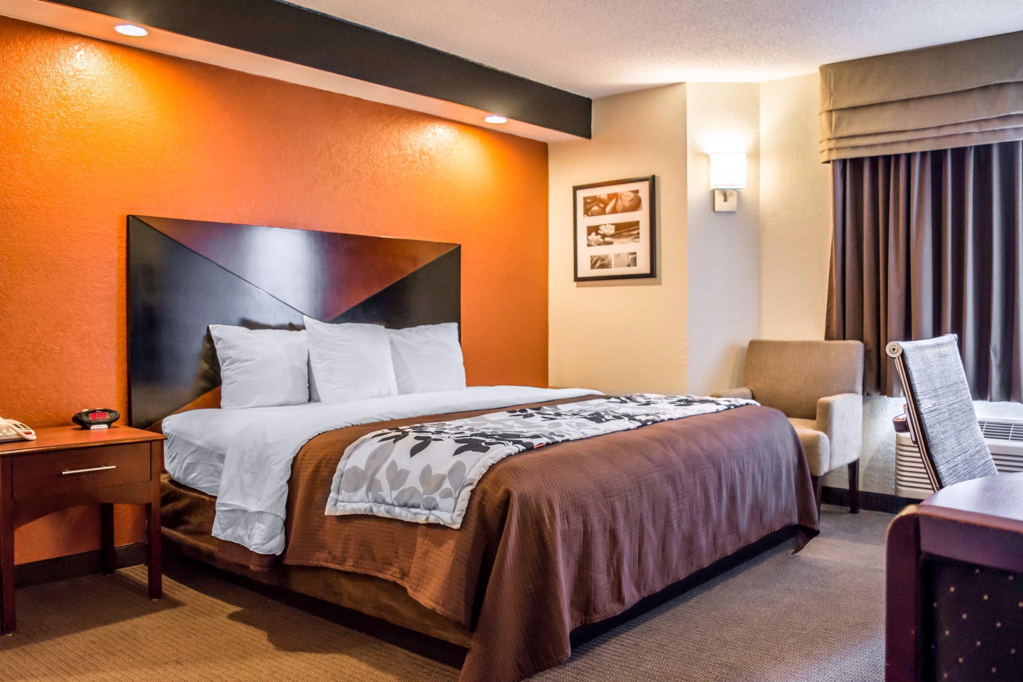 Sleep Near Busch Gardens - Usf Inn Temple Terrace