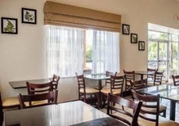 Sleep Near Busch Gardens - Usf Inn